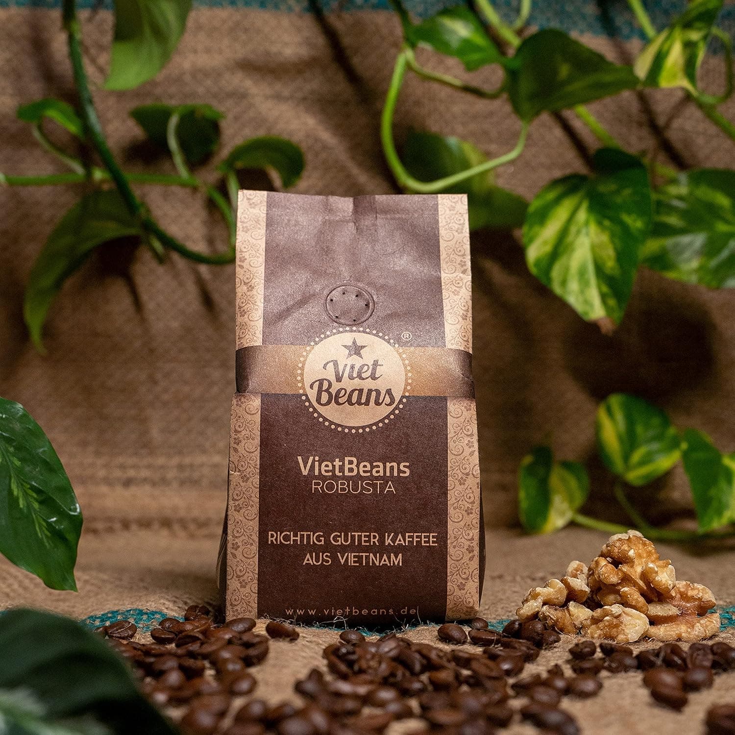 Vietnam Robusta (VietBeans)